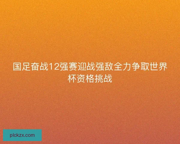 国足奋战12强赛迎战强敌全力争取世界杯资格挑战
