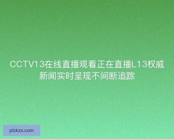 CCTV13在线直播观看正在直播L13权威新闻实时呈现不间断追踪